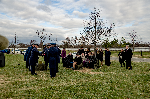 thb-0295.jpg